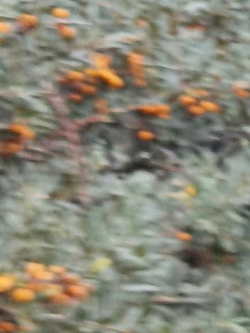 20220904_132543